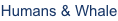 shapeimage_11_link_0