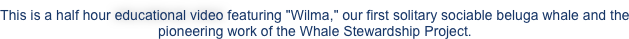This is a half hour educational video featuring "Wilma," our first solitary sociable beluga whale and the pioneering work of the Whale Stewardship Project.