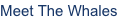 shapeimage_3_link_0
